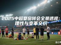 杏彩体育-关于中超夏窗转会108笔，外援引援“少而精”是明显特色的信息
