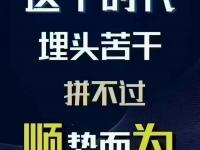 杏彩体育app-紧要关头决胜制胜，球队展现冠军风采的简单介绍